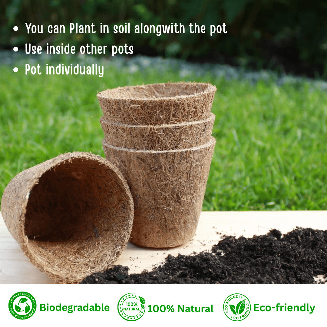 Biodegradable Coir planter Garden Nursery Coco Natural Cup Pots set of 5