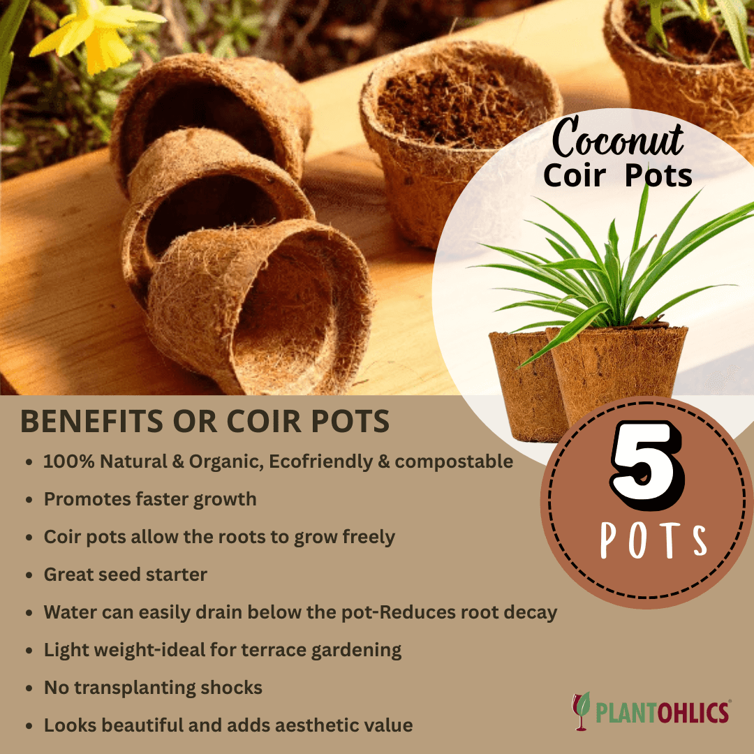 Biodegradable Coir planter Garden Nursery Coco Natural Cup Pots set of 5