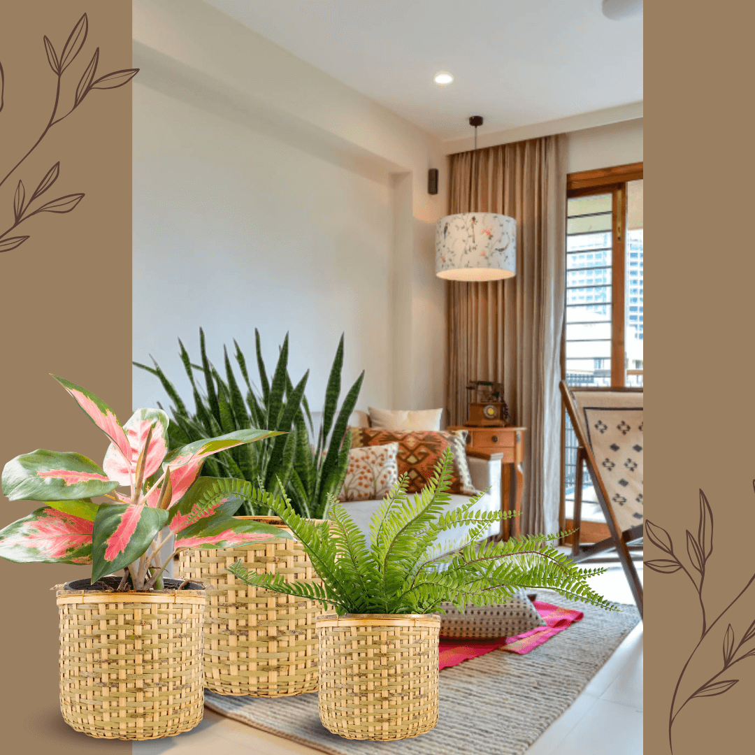 Bamboo Cane Basket Planter Cloth Basket set of 3