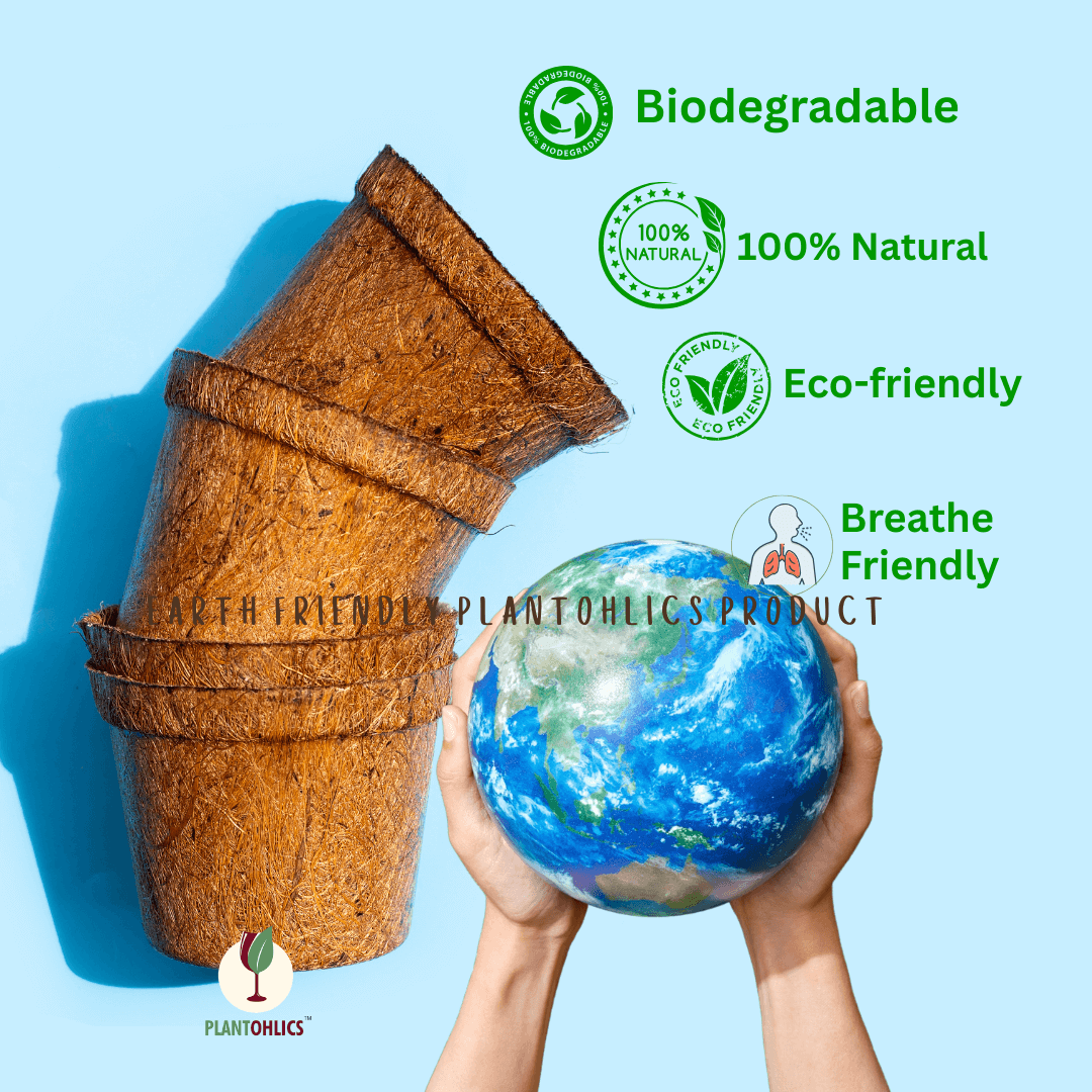 Biodegradable Coir planter Garden Nursery Coco Natural Cup Pots set of 5