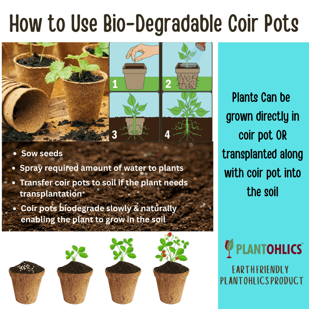 Biodegradable Coir planter Garden Nursery Coco Natural Cup Pots set of 5