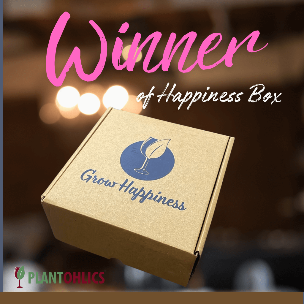 Happiness Box Gardening Kit from Admin