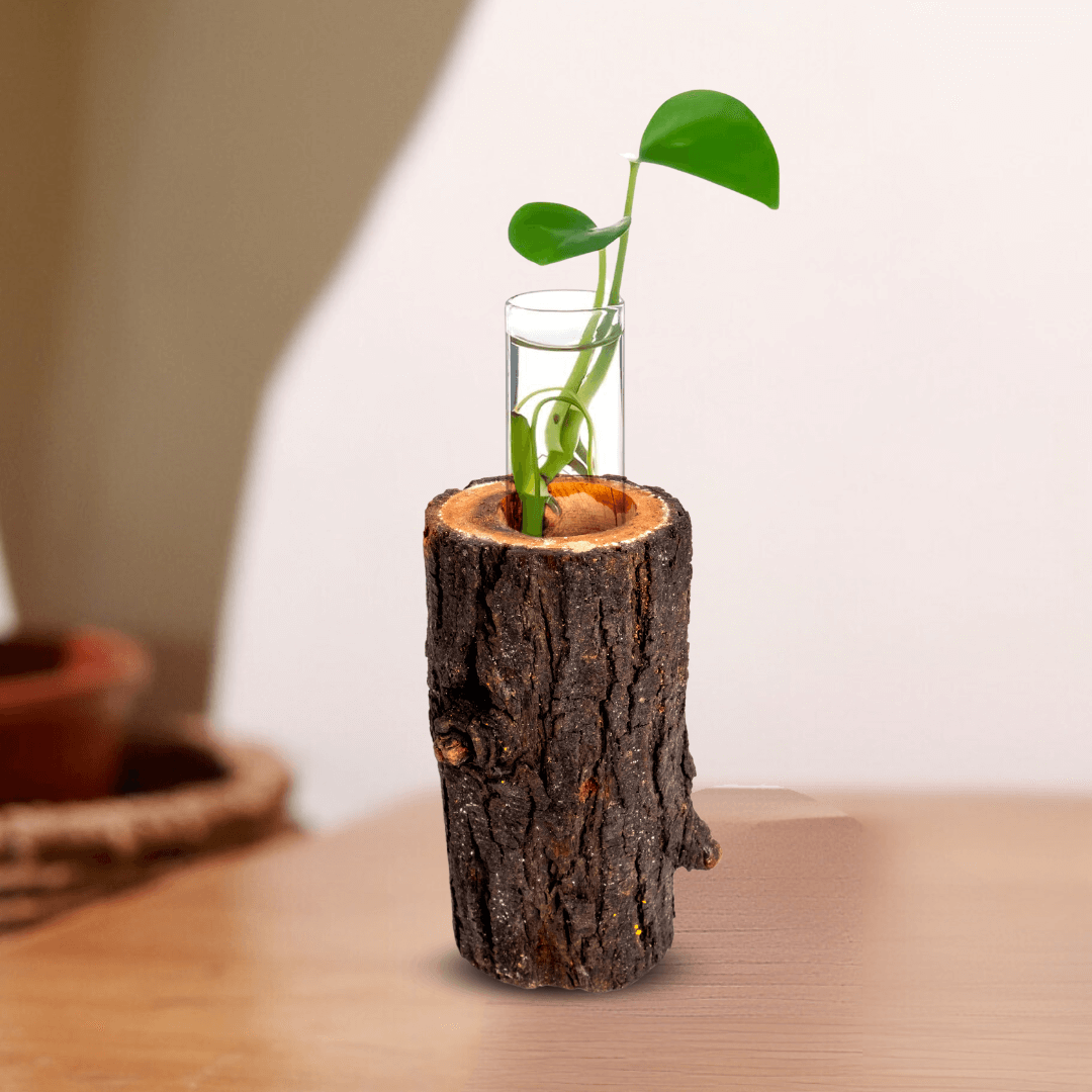 Test tube tree bark planter xx inches