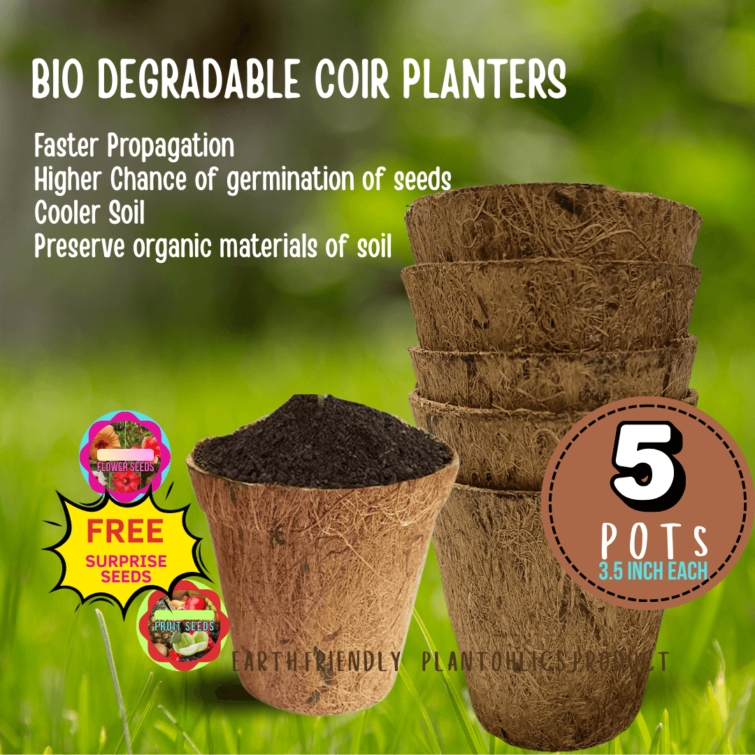 Biodegradable Coir planter Garden Nursery Coco Natural Cup Pots set of 5