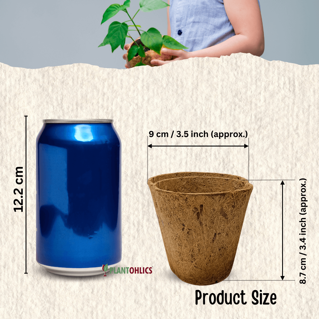 Biodegradable Coir planter Garden Nursery Coco Natural Cup Pots set of 5
