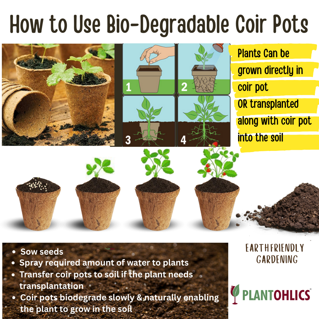 Biodegradable Coir planter Garden Nursery Coco Natural Cup Pots set of 5