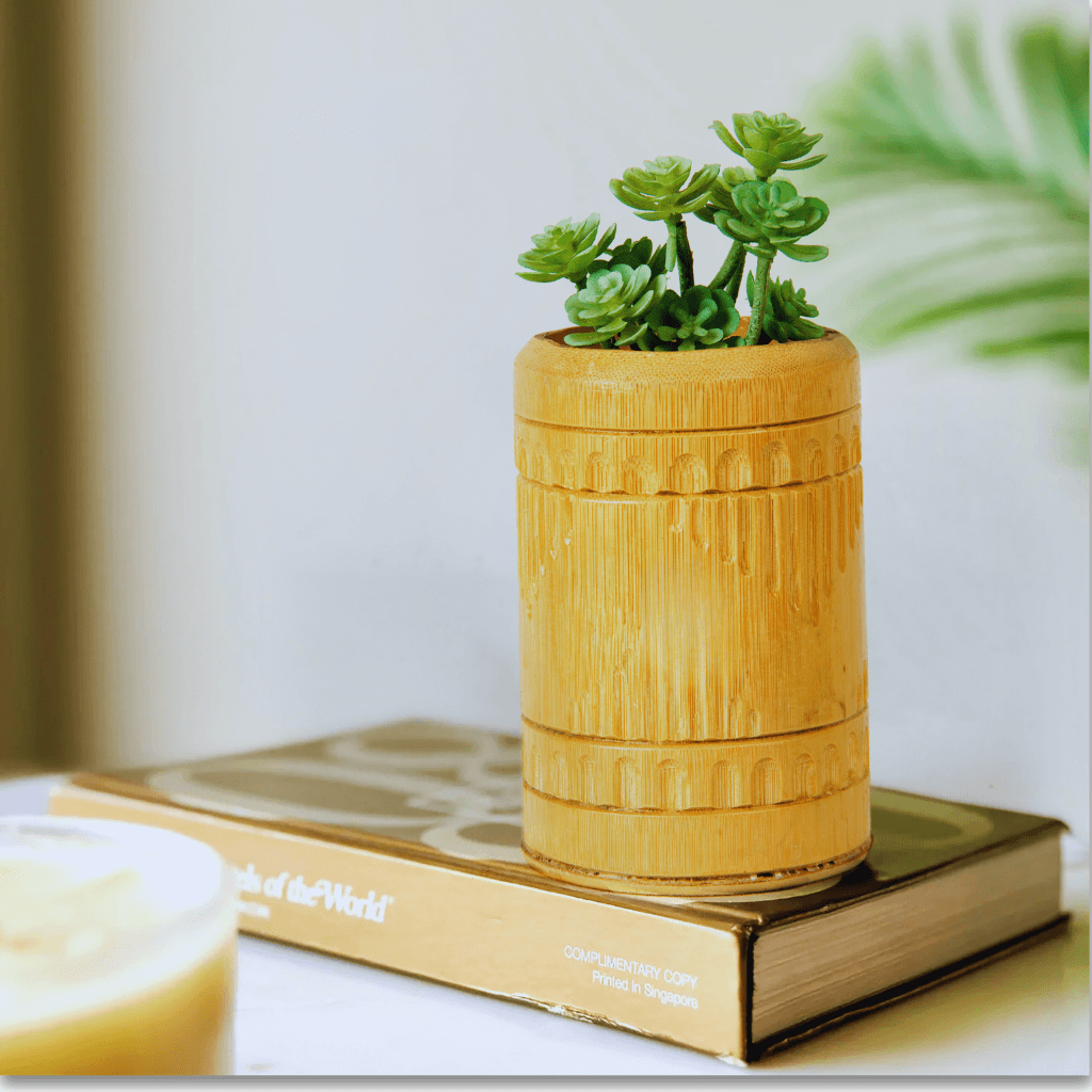 succulent pen holder Bamboo Pen stand Table Top succulent plant planter pck of 1 – Plantohlics
