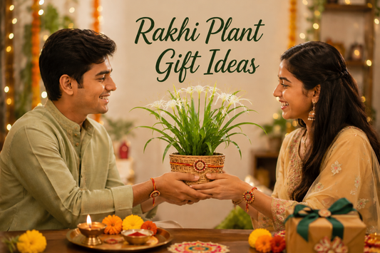 Brother and sister exchanging a spider lily plant as the perfect rakhi plant gift idea during Raksha Bandhan