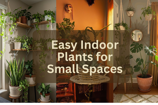 Easy Indoor Plants for Small Spaces arranged in a cozy apartment with hanging planters, shelves, and compact floor plants.