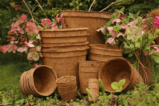 Coco Coir Pots: Sustainable Breathe Easy Gardening Choice
