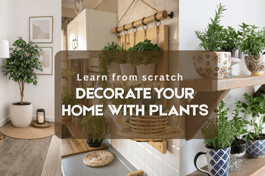 18 Effective Ways to Decorate Your Home with Plants