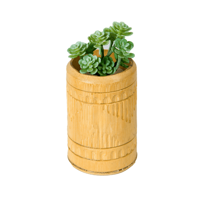 Bamboo Cane Premium Cute Succulent Planter 1 inch dia