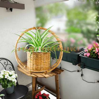 20 inch indoor plant pot Bamboo Cane Circular Ring Hanging Multipurpose Planter 20 inch basket – Plantohlics