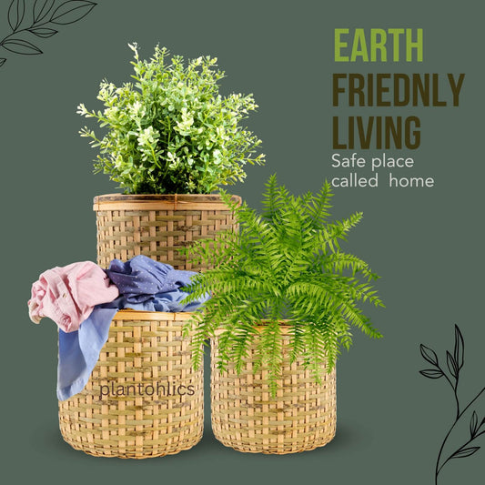 Bamboo Cane Basket Planter Cloth Basket set of 3