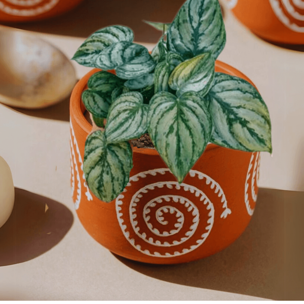 Clay Hand Painted Table Top Planter Pck of 1