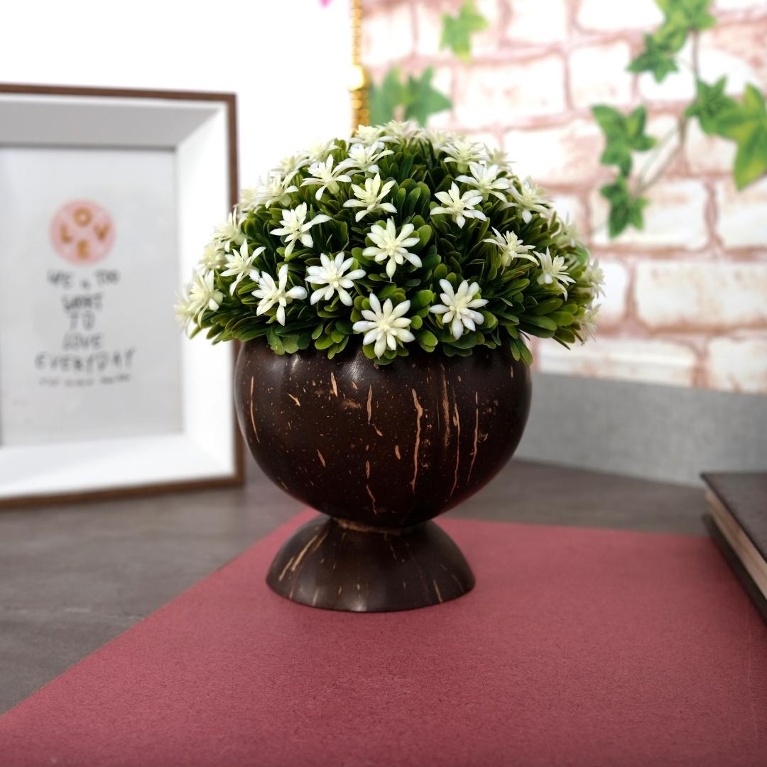 Polished Coconut Shell Planter | Table top planter