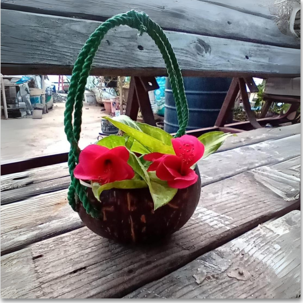 Handmade Coconut Shell Cute Planter