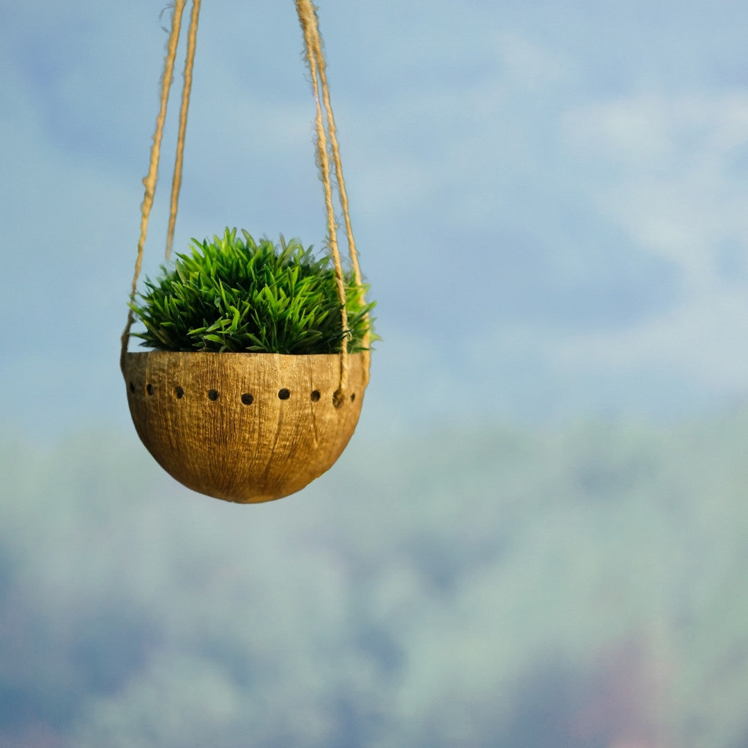 Coconut shell hanging planter