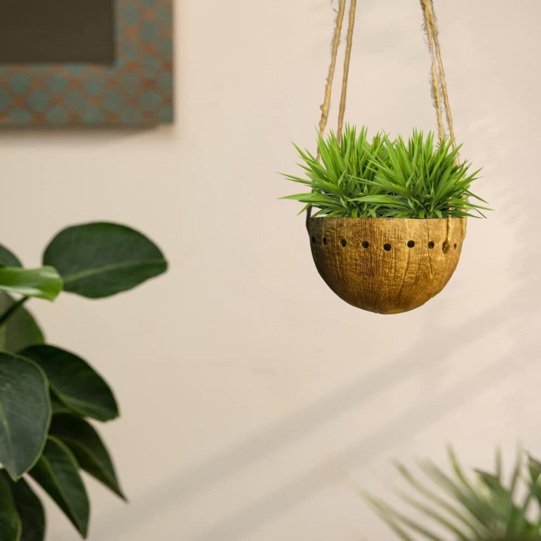 Coconut shell hanging planter