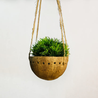 Coconut shell hanging planter