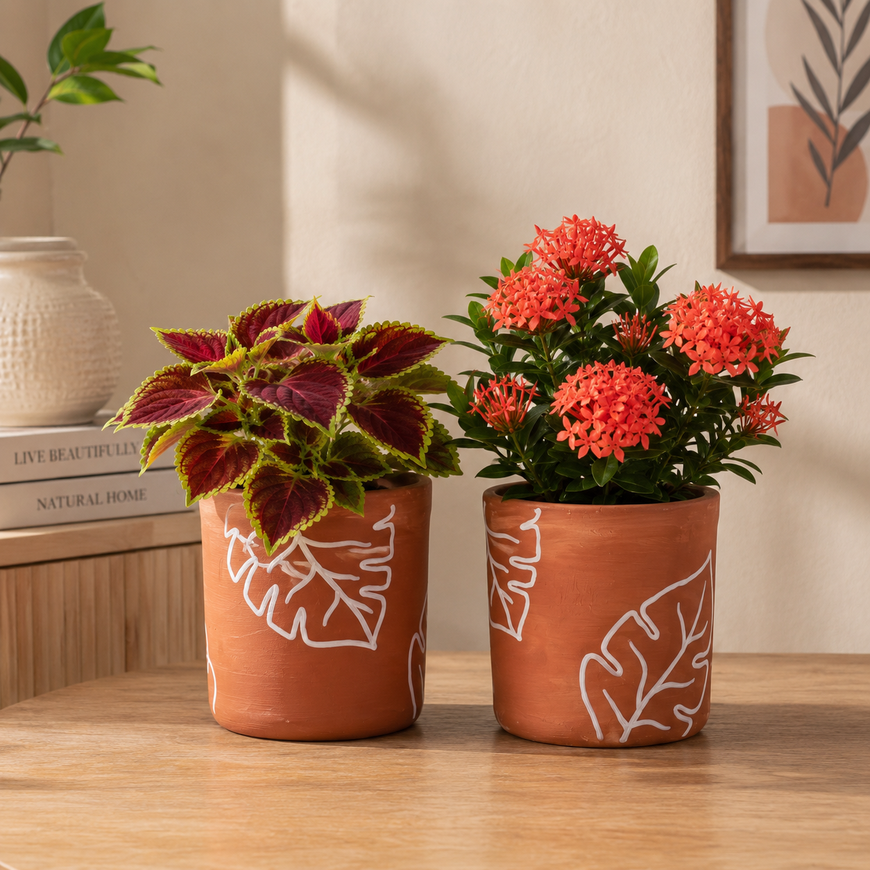 Ixora plant pot mitti planter