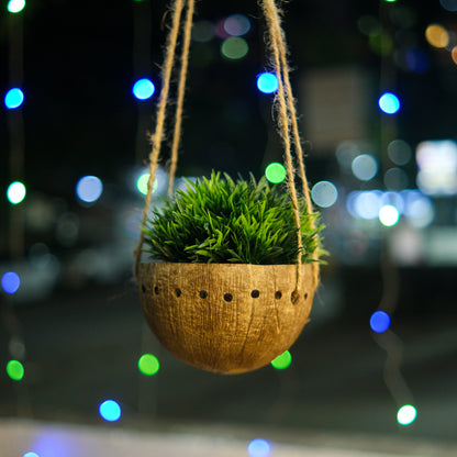 Coconut shell hanging planter