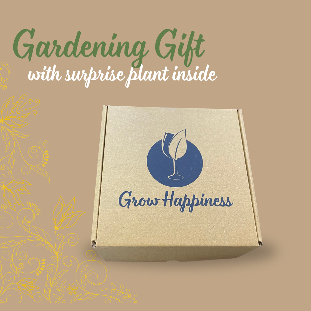 Premium Gardening Kit | Complete kit with plant food