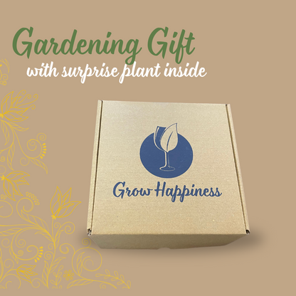 Premium Gardening Kit | Complete kit with plant food