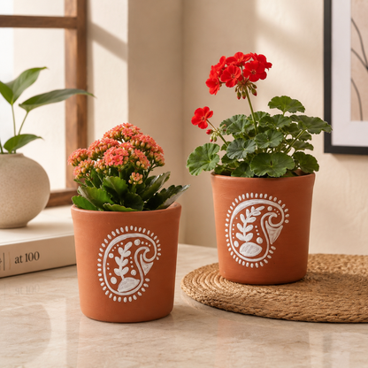 Two potted plants with decorative pots for home 