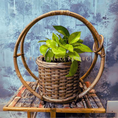 Bamboo Cane Premium Hanging Planter 20  inch basket