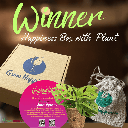 Gardening Happiness Box