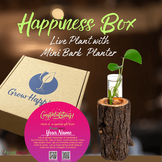 Gardening Happiness Box - Live Plant with Mini Bark Planter