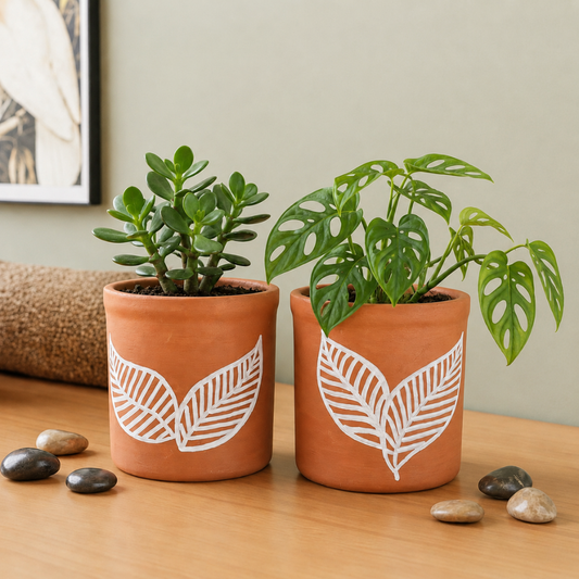 Decorative terracotta planter pair with a jade plant and Monstera adansonii, handcrafted indoor planter design featuring a handpainted planter, handmade pot, small planter, and small pot aesthetic.