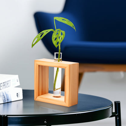 Wooden frame single test tube propagation planter