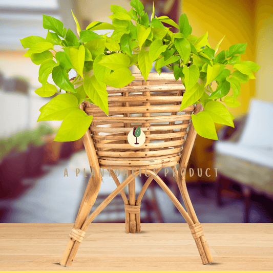 Bamboo Plant stand Planter Pot 3 leg