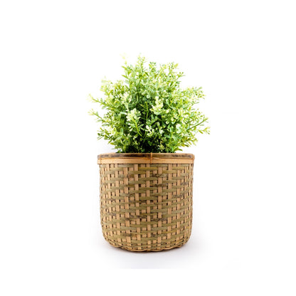 Tokri Planter