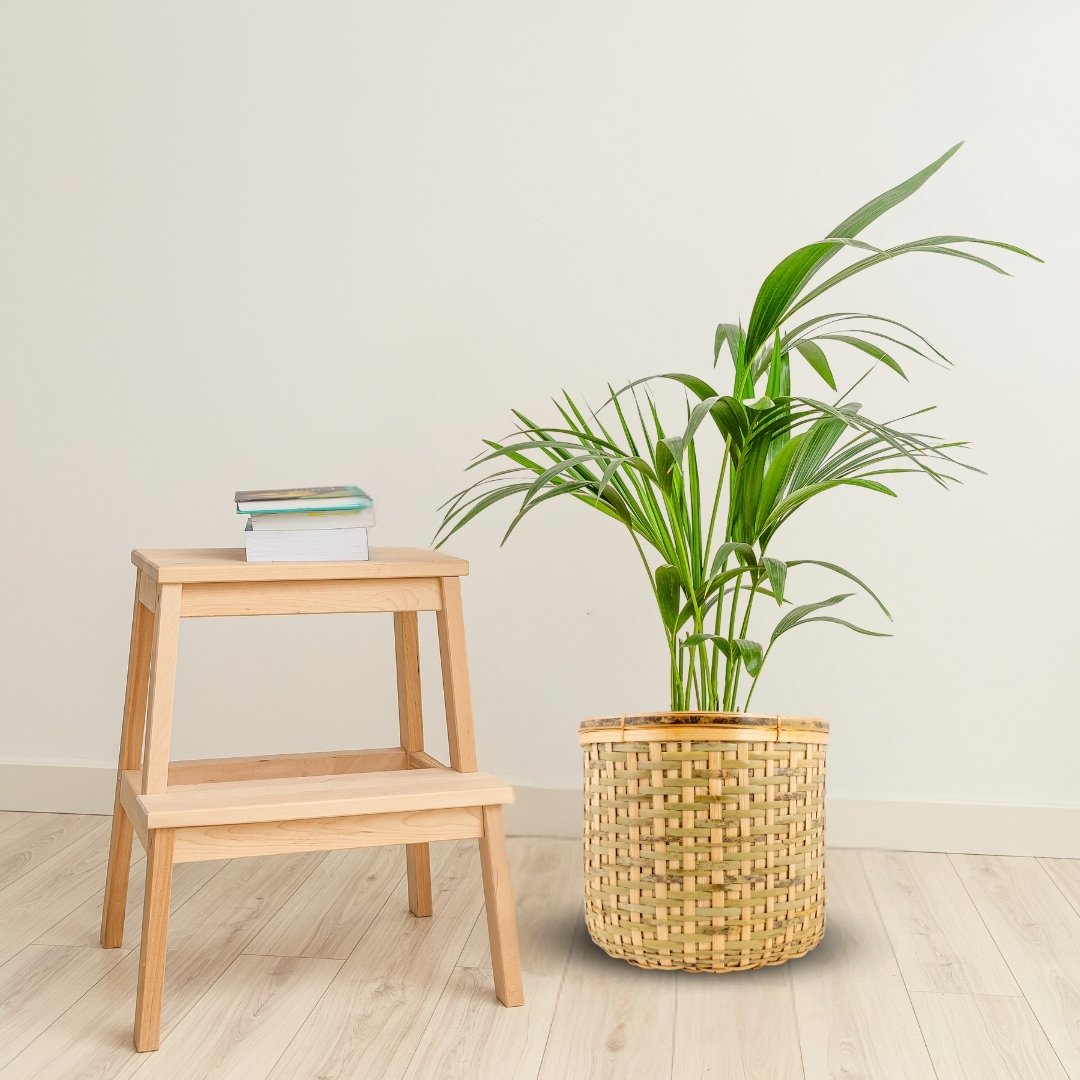 Bamboo Cane Basket Planter Cloth Basket set of 3