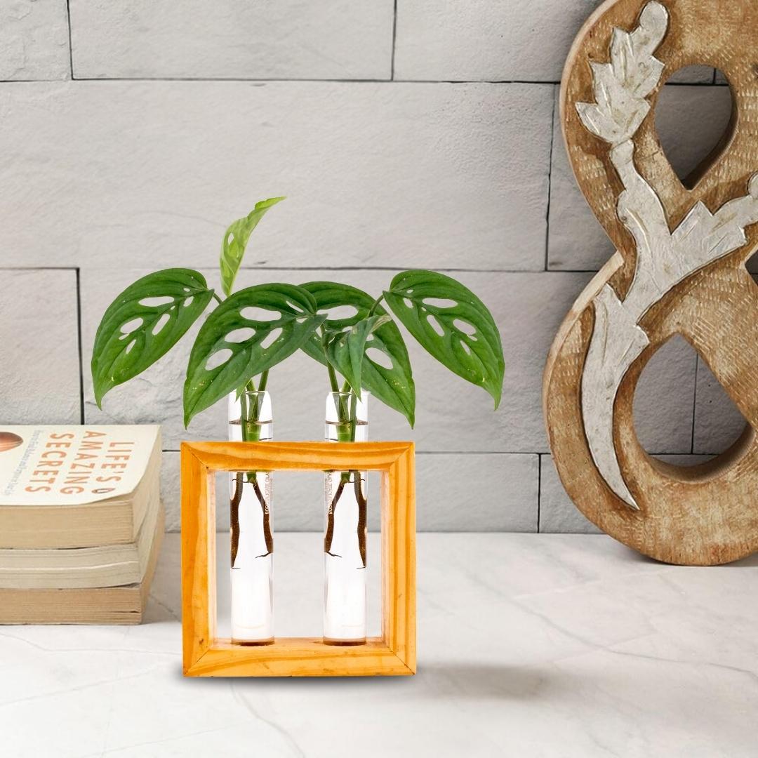 Wooden frame double test tube planter