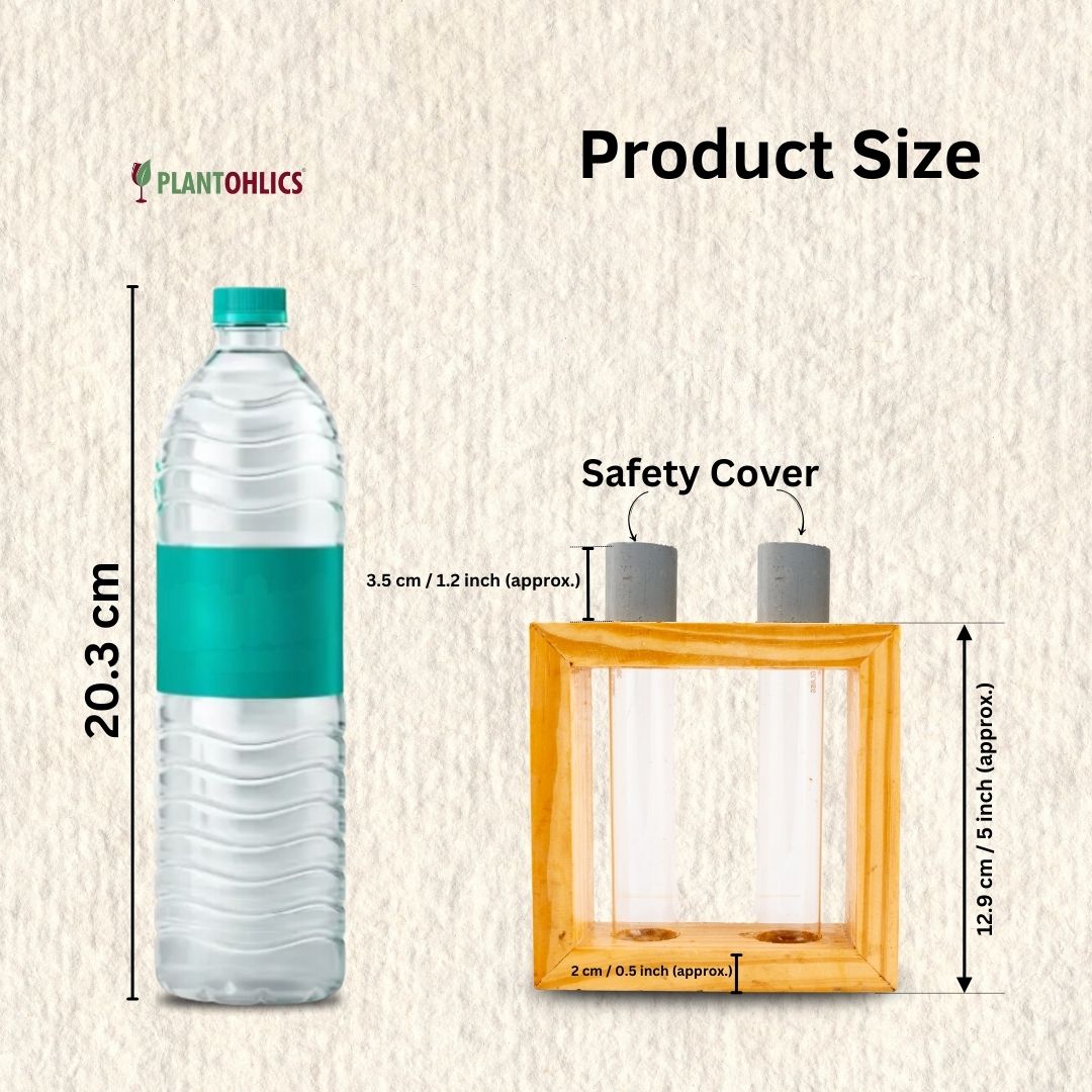 Wooden frame double test tube planter