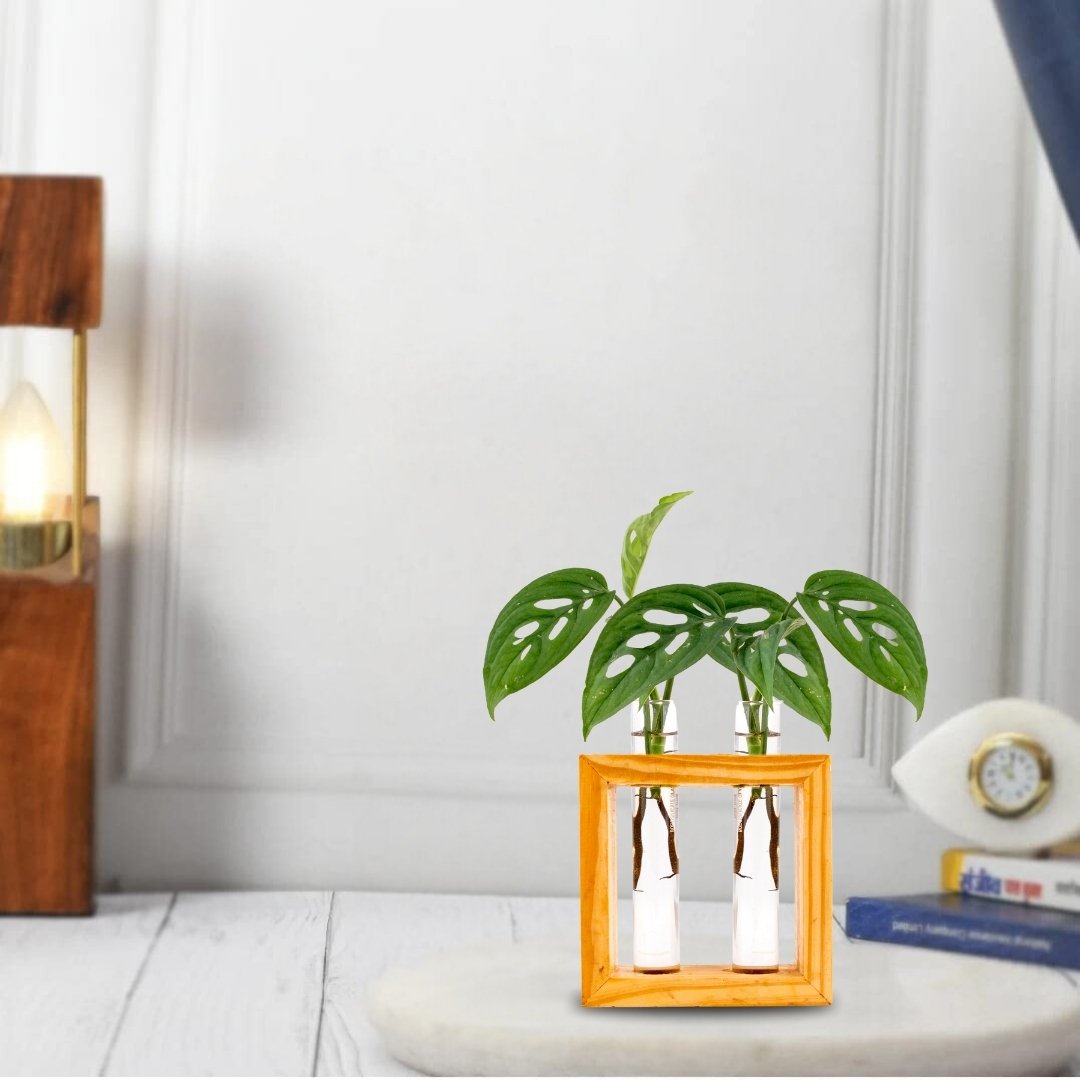 Wooden frame double test tube planter