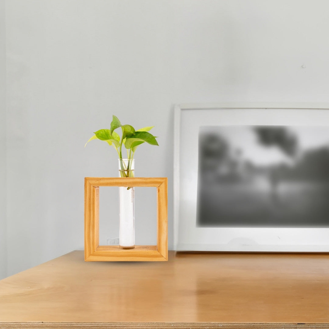 Wooden frame single test tube planter