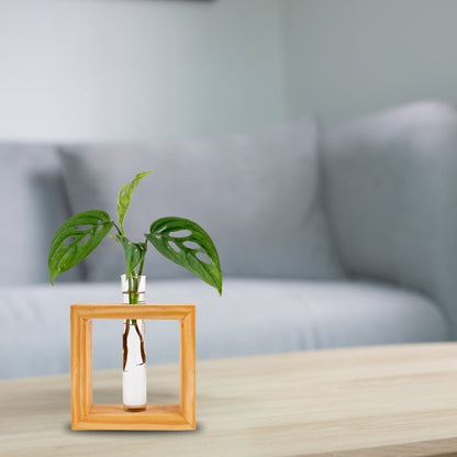 Wooden frame single test tube planter