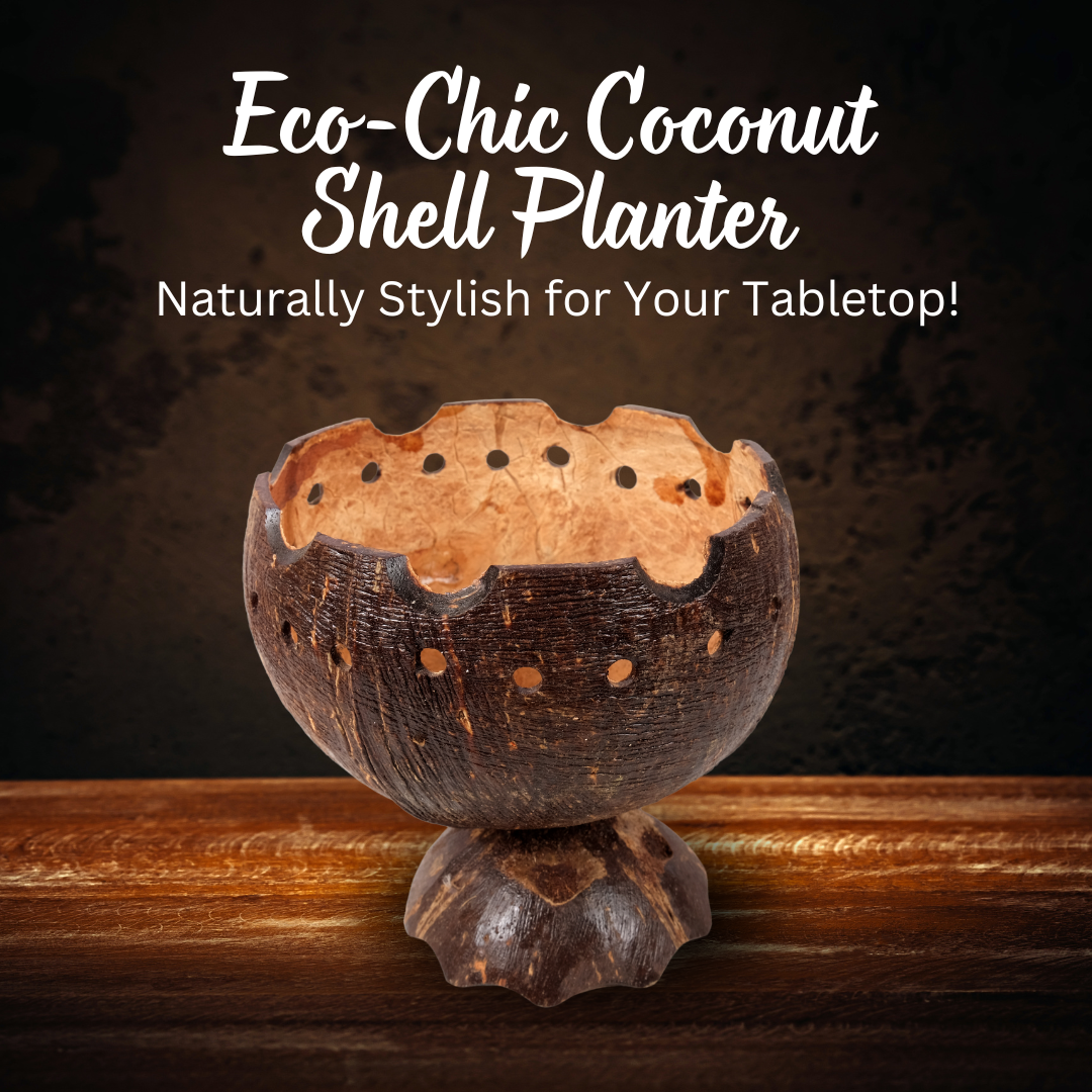 Coconut shell matte tabletop planter