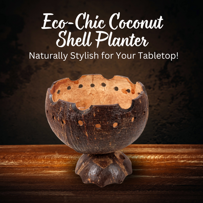 Coconut shell matte tabletop planter