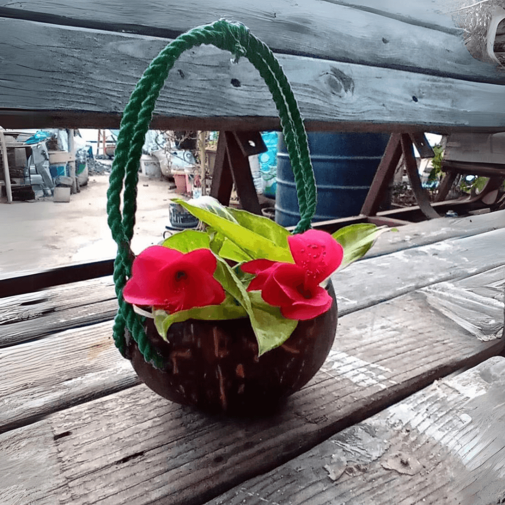 Handmade Coconut Shell Cute Planter