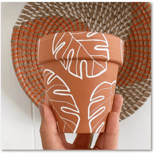 Terracotta planters 8 inch with monstera work pack of 2