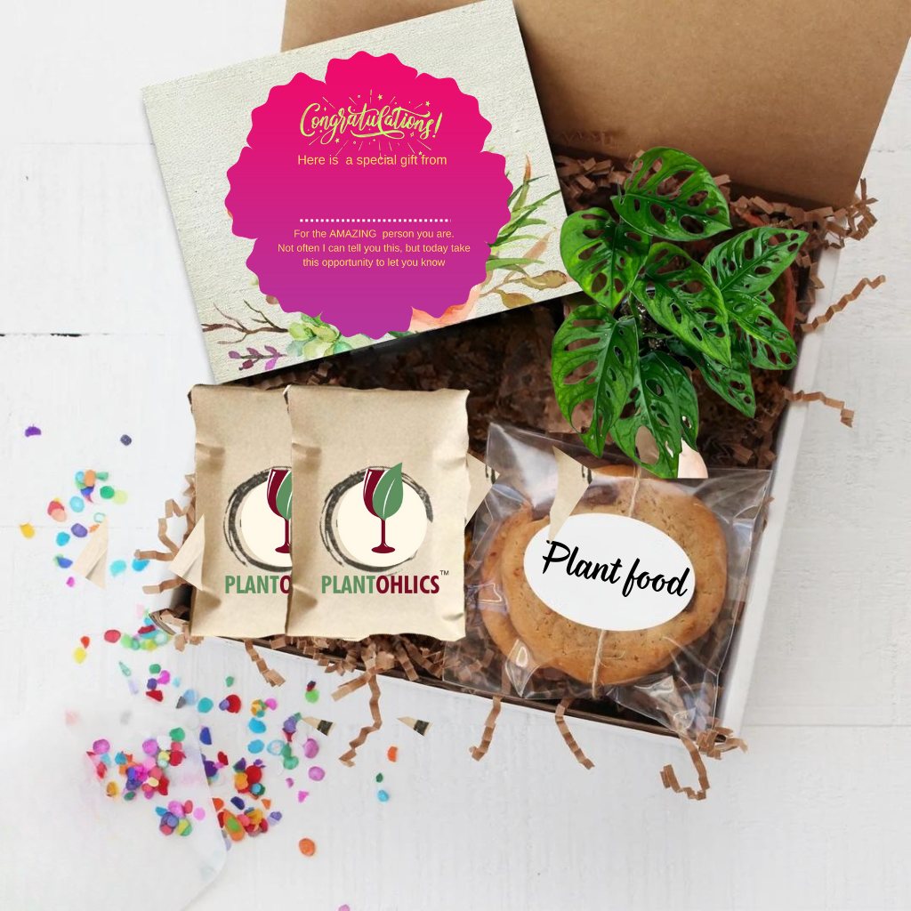 Premium Gardening Kit | Complete kit with plant food