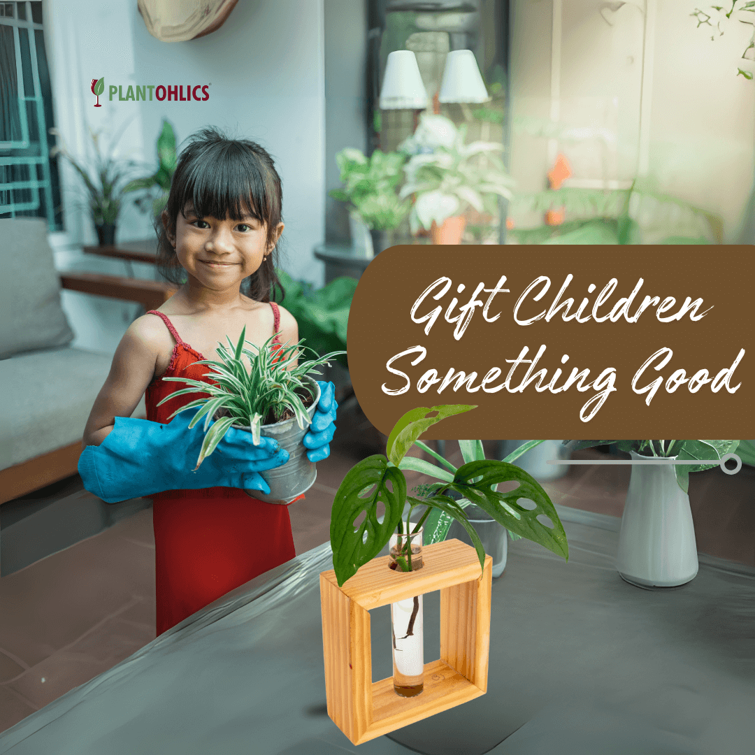 Wooden frame single test tube propagation planter