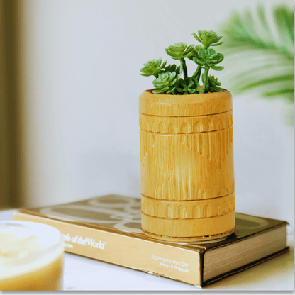 Bamboo Cane Premium Cute Succulent Planter 1 inch dia