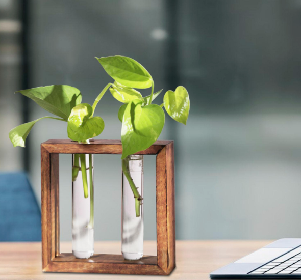 Wooden frame double test tube planter